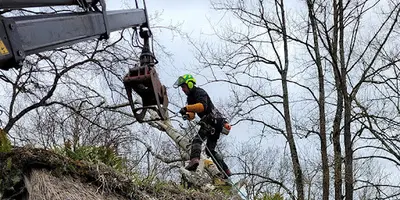 Paysagiste Touraine - Élagueur Veigné : Espaces Verts Chambray les Tours Poitiers Tours