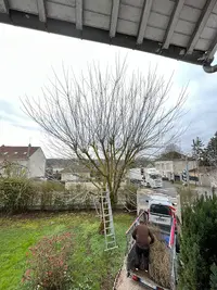 Pro Elagage J.