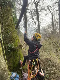 Ferréol L’arboriste