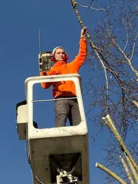 Tc Élagage Avec Nacelle et Entretien des Espaces Verts
