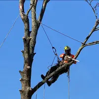Gs Élagueur Verneuil-sur-seine