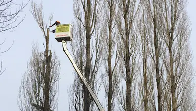 Pro-élagages Établissement Ollmann