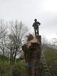 Ei.un Lutin Perché