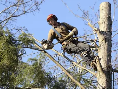 Entreprise Desjardin