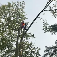 Eco Élagage Entretien Parcs et Jardins
