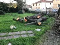 Le Grimpeur du Val D’adour