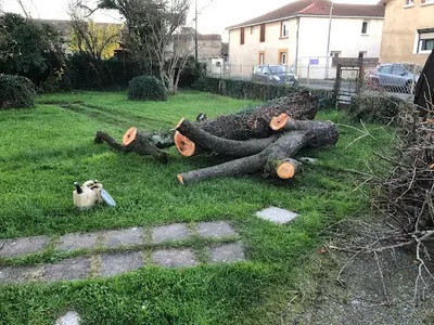 Le Grimpeur du Val D’adour