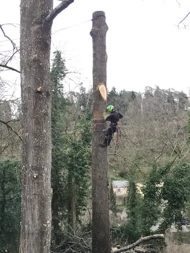 Auxois Morvan Élagage