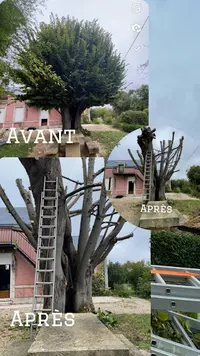 Hacquel Espace Vert Élagage