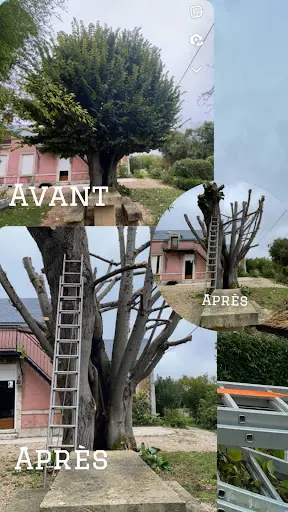 Hacquel Espace Vert Élagage