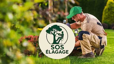 Sos Élagage