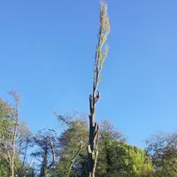 l'Écureuil du Vercors
