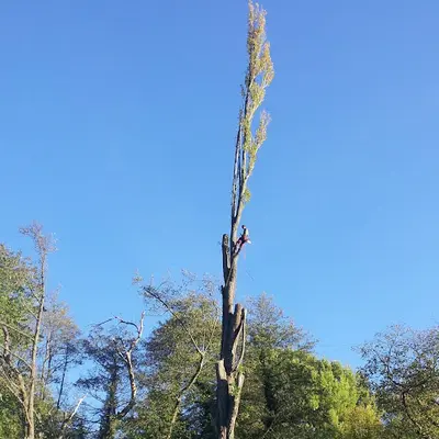 l'Écureuil du Vercors