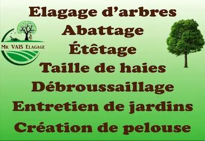 🌳mr Vais Élagage🪵 Espaces Verts Paysagistes Élagueurs 🌳