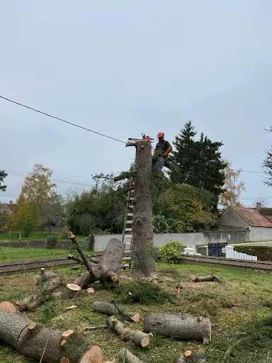 Berckelagage