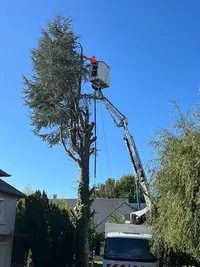 Jb Nacelle Services - Élagage & Espaces Verts