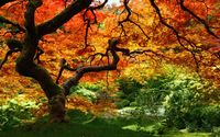 Leseigneur Espaces Verts