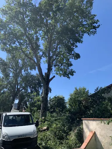 Benoni Elagueur