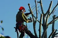 Ent. Mehrstein