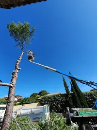 Sam Espace Clean Élagueur 47 Espace Vert Élagage/jardinier Entretien de Parc et de Jardin