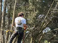 Élagueur Pro Express