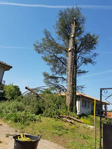 Entreprise Aubarbier Pierre - Elagueur Professionnel / Elagage - Abattage -