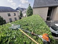 l'Harmonie du Jardin