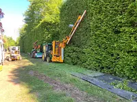 Elagage de France Suivi Arboricole