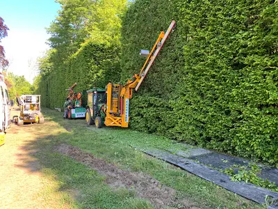 Elagage de France Suivi Arboricole