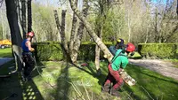 Arbor Environnement